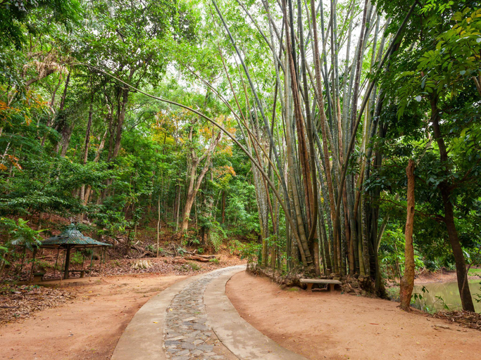 Nearby Landmark 2, The Hideaway in Kandy, K.F.G. & G. Korale