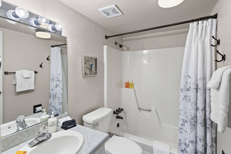 Bathroom 4, Snowmass Mountain D1, Pitkin