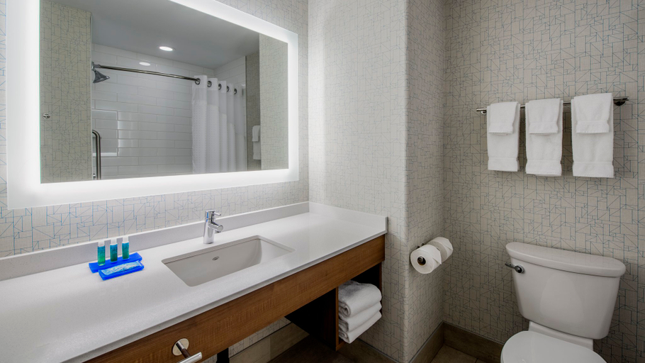 Bathroom 4, Holiday Inn Express & Suites AIRDRIE-CALGARY NORTH by IHG, Division No. 6
