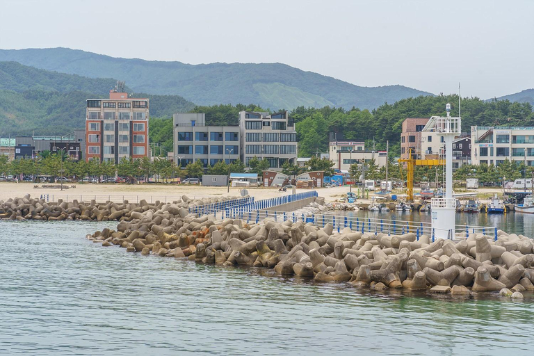 Others 5, Yangyang L9 Pension, Yangyang