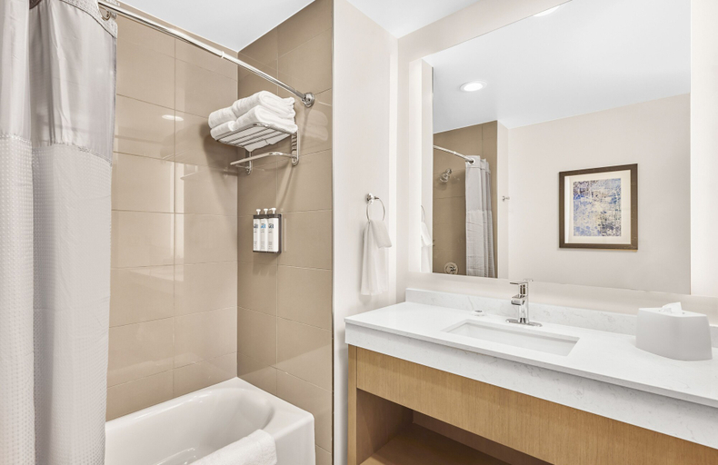 Bathroom 4, Hyatt House Houston Medical Center, Houston