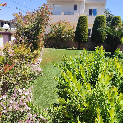 Garden, Aithrea s Homes in Pastida Rhodes, South Aegean
