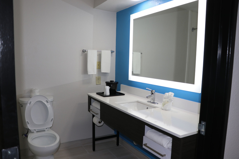 Bathroom 3, Quality Inn & Suites Buda, Hays