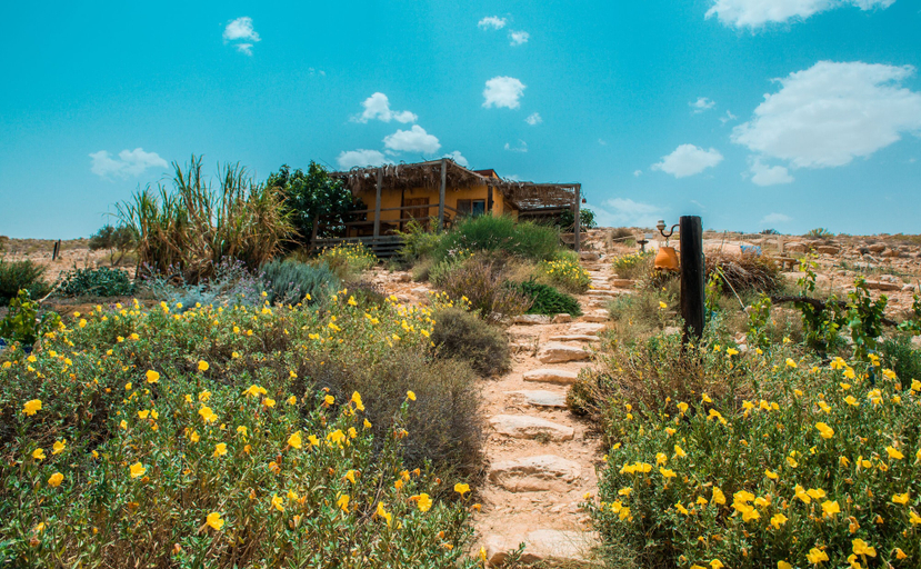 Exterior & Views 2, Carmey Avdat Farm