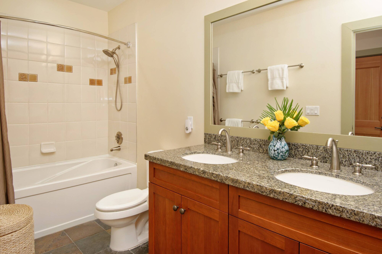 Bathroom 3, Capitol Peak C3127, Pitkin