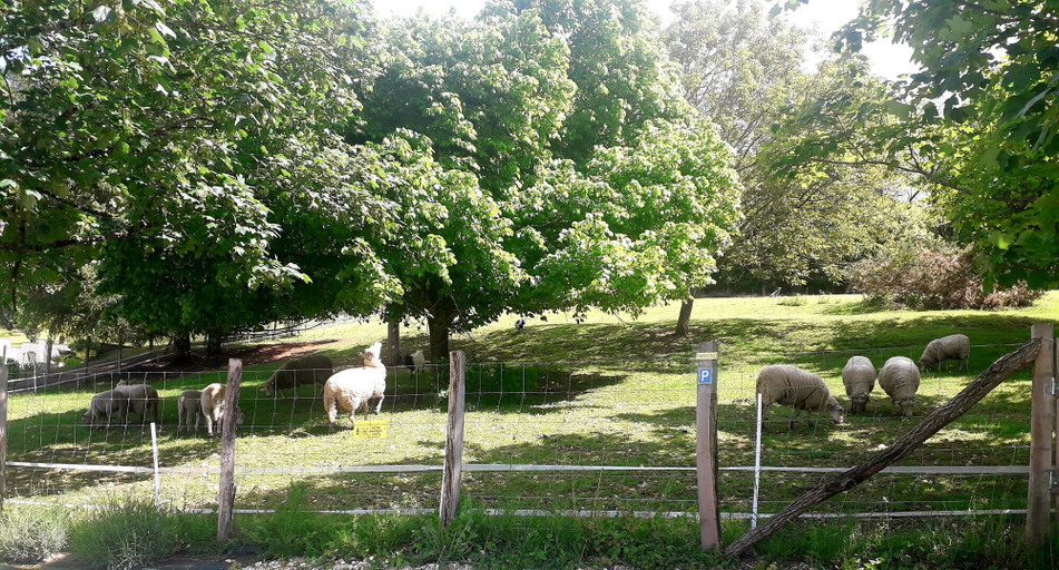 Others 4, Les Gîtes de Petrocoriis, Dordogne