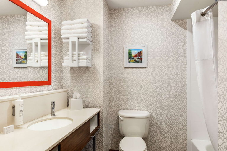 Bathroom 4, Hampton Inn & Suites Valparaiso, Porter