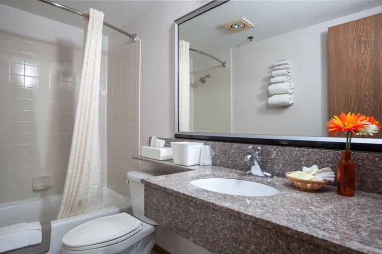 Bathroom 4, Heartland Inn, Johnson