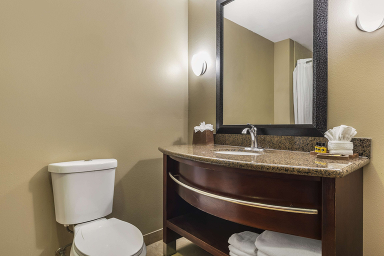 Bathroom 4, Best Western Plus Texoma Hotel & Suites, Grayson