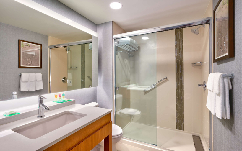 Bathroom 4, Hyatt Place Anchorage Midtown, Anchorage