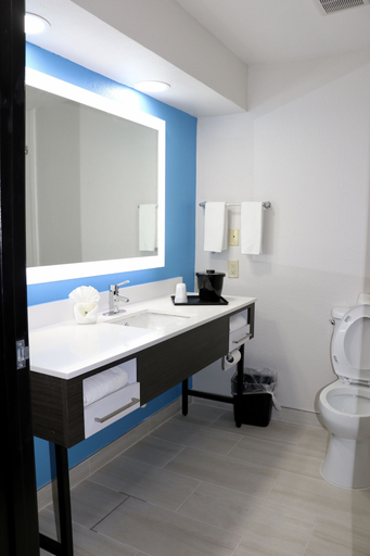 Bathroom 4, Quality Inn & Suites Buda, Hays