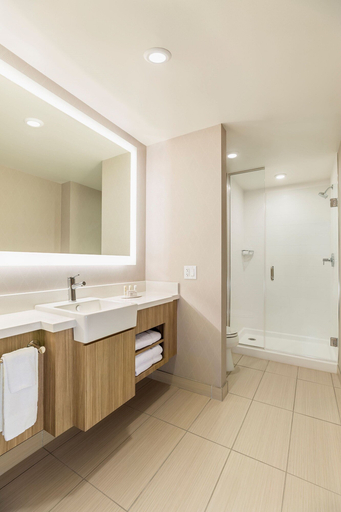 Bathroom 5, SpringHill Suites by Marriott St. Paul Downtown, Ramsey