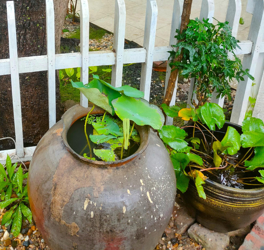 Others 5, Ammata Heritage House-Old Town, Chomphet