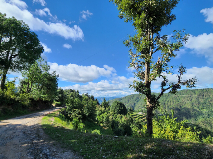 Others 5, The Foresta, Nainital