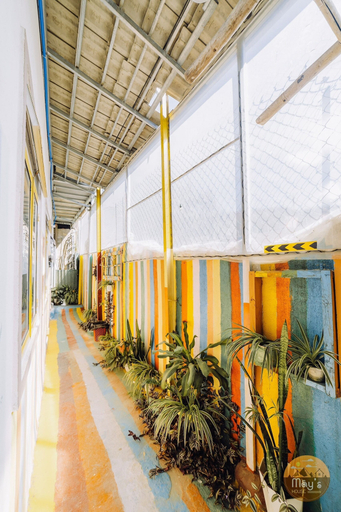 Exterior & Views, Mây's House, Đà Lạt