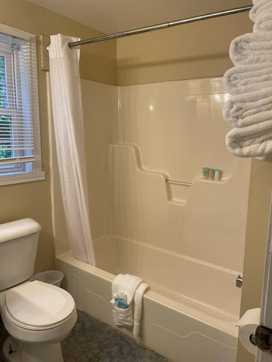 Bathroom 4, Grand Beach Inn, York