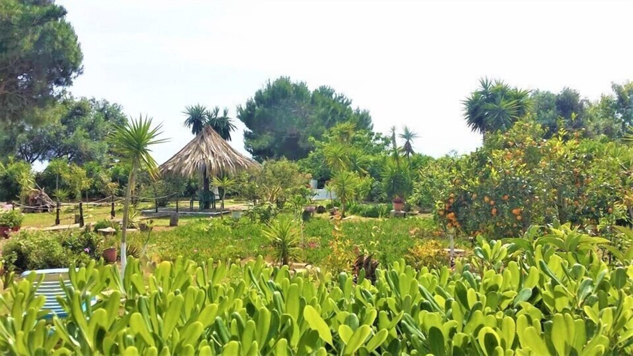 Others 3, TETRAKTYS estate, Ionian Islands