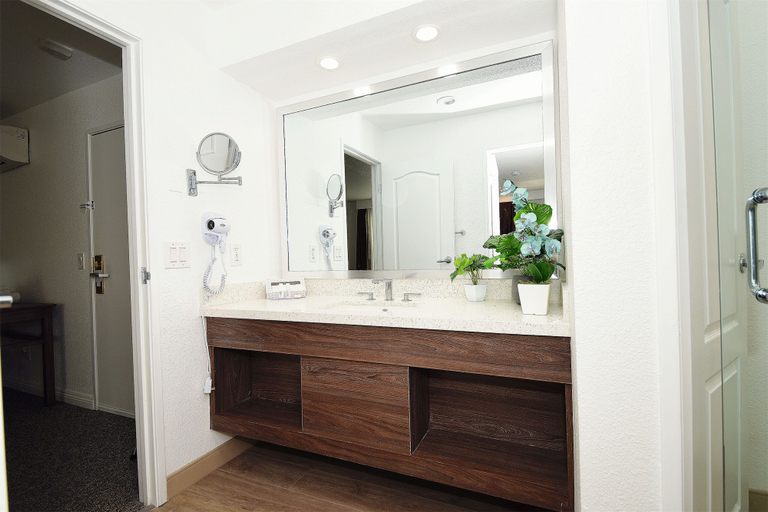Bathroom 4, Las Vegas Serene Hotel, Clark