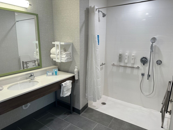 Bathroom 5, Hampton Inn & Suites Ruskin I-75, Hillsborough