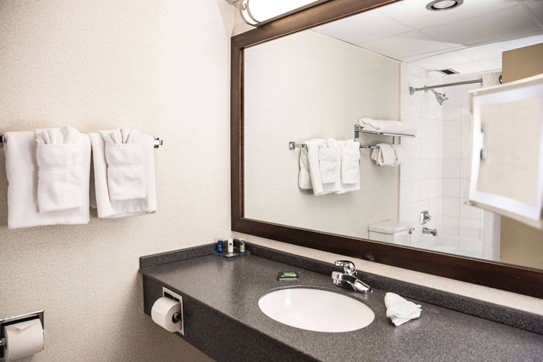 Bathroom 4, Wyndham Edmonton Hotel and Conference Centre, Division No. 11