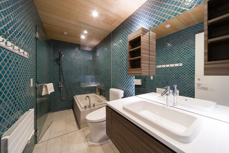 Bathroom 4, Amo54, Hakuba