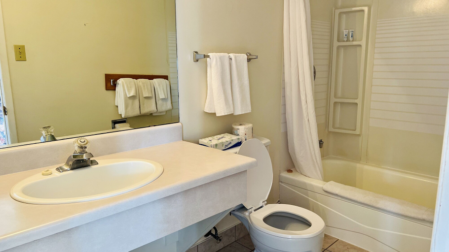 Bathroom 4, Anne Shirley Motel & Cottages, Queens
