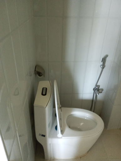 Bathroom 4, Hotel Sarangkot, Gandaki