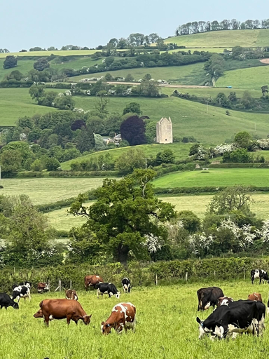 Others 5, Cozy Bruton Studio With Stunning Views, Somerset