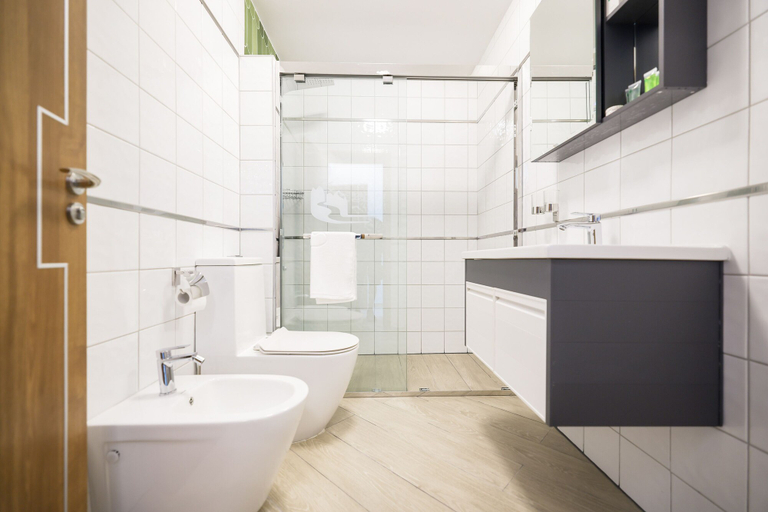 Bathroom 4, Hotel Kanjon Zrmanje, Jasenice