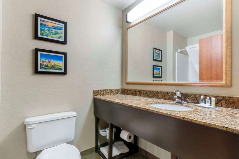 Bathroom 4, Comfort Inn & Suites Mitchell I-90, Davison
