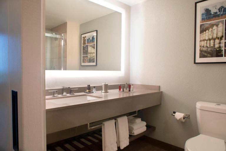 Bathroom 4, Winston-Salem Marriott, Forsyth