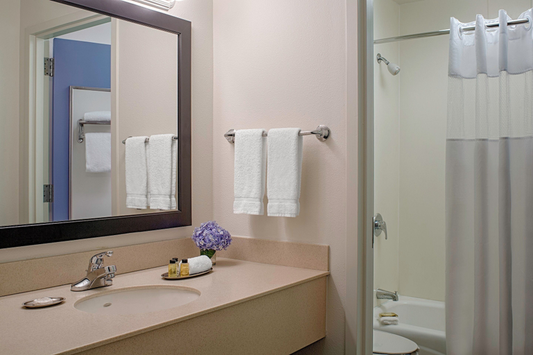 Bathroom 4, Federal City Inn & Suites, Orleans