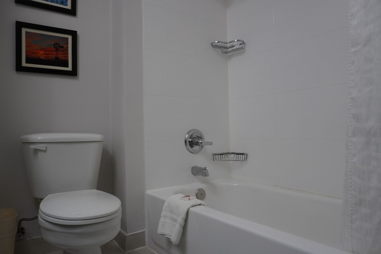 Bathroom 4, Comfort Inn & Suites Frisco - Plano, Collin