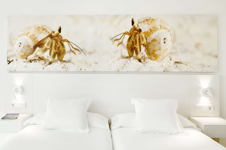 Bedroom 3, Iberostar Waves Cristina, Baleares