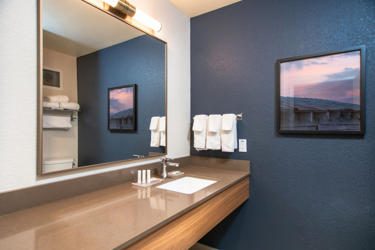 Bathroom 3, Fairfield Inn & Suites by Marriott Rapid City, Pennington