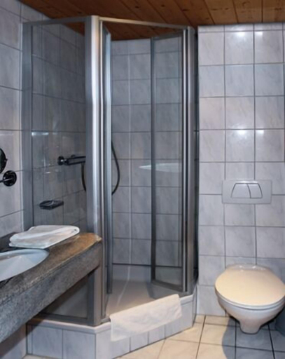 Bathroom, Hotel Blume, Freiburg im Breisgau
