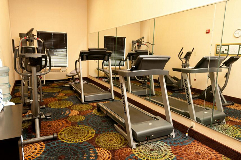 Others 2, Holiday Inn Express & Suites Bloomington - Normal, McLean