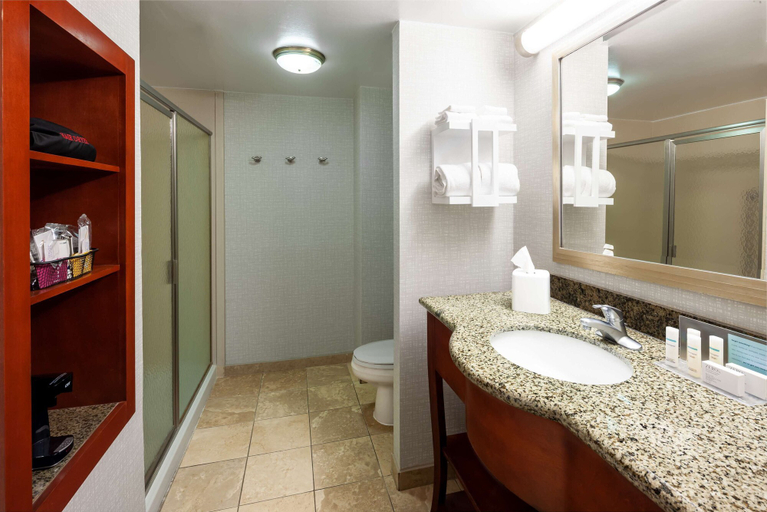 Bathroom 4, Hampton Inn & Suites Mobile I-65@ Airport Blvd, Mobile