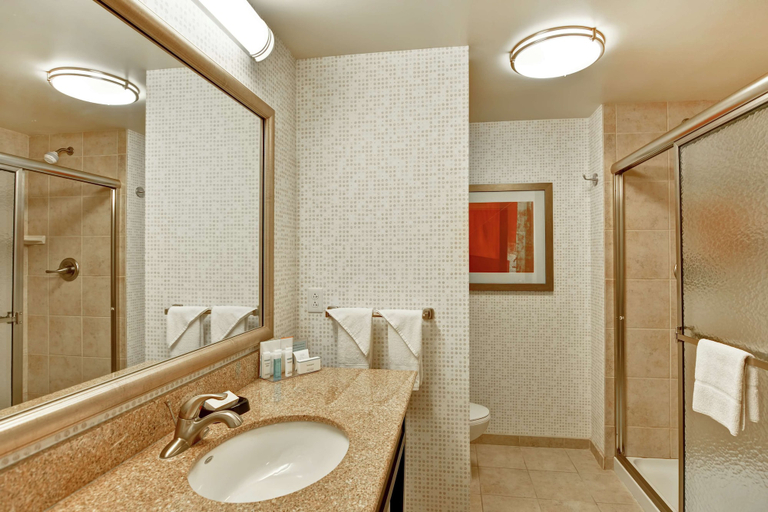 Bathroom 4, Hampton Inn Tunkhannock, Wyoming