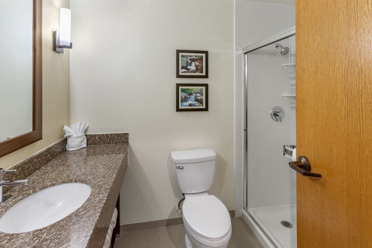 Bathroom 4, Comfort Suites Ogden Conference Center, Weber