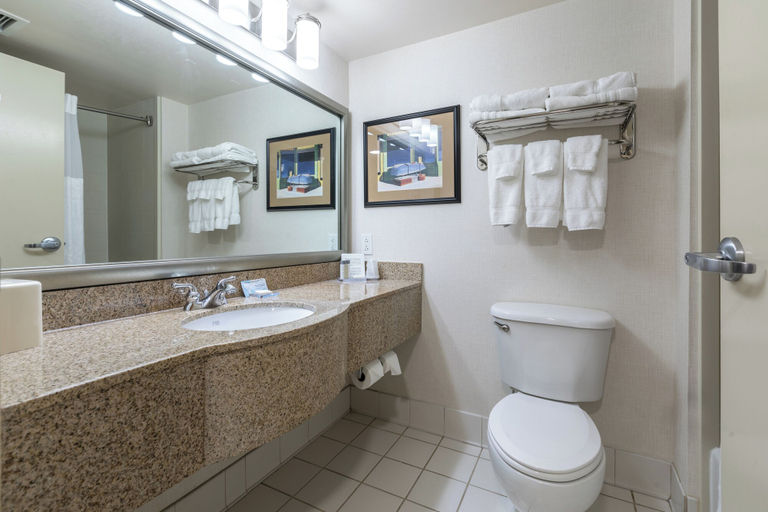 Bathroom 4, Wingate by Wyndham Charlotte Speedway/Concord, Cabarrus