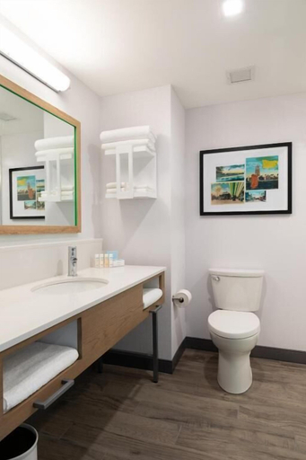 Bathroom 4, Hampton Inn & Suites Watertown Boston, Middlesex
