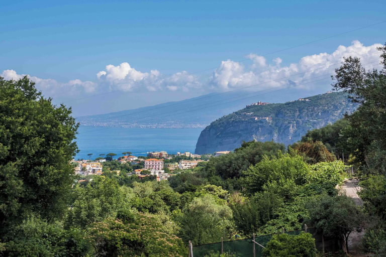 Others