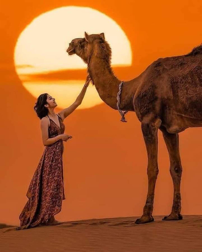 Others 5, Barkha Desert Safari Camp Sam Sand Dunes, Jaisalmer