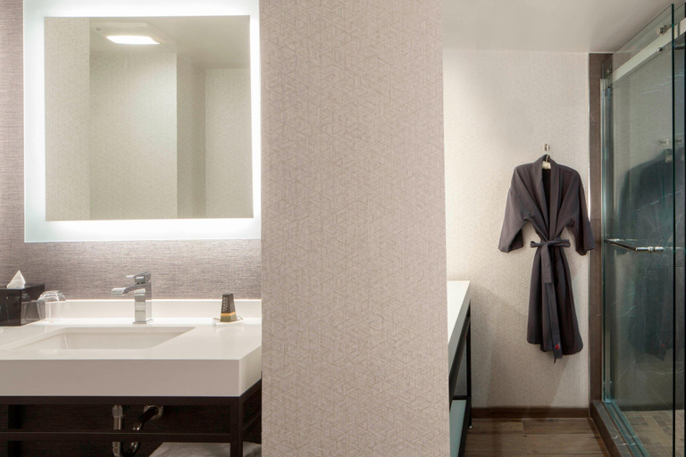 Bathroom 5, Dallas Marriott Downtown, Dallas