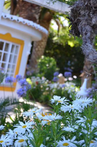 Property grounds 2, Charming Studio Near the Beach of Praia da Luz, Lagos