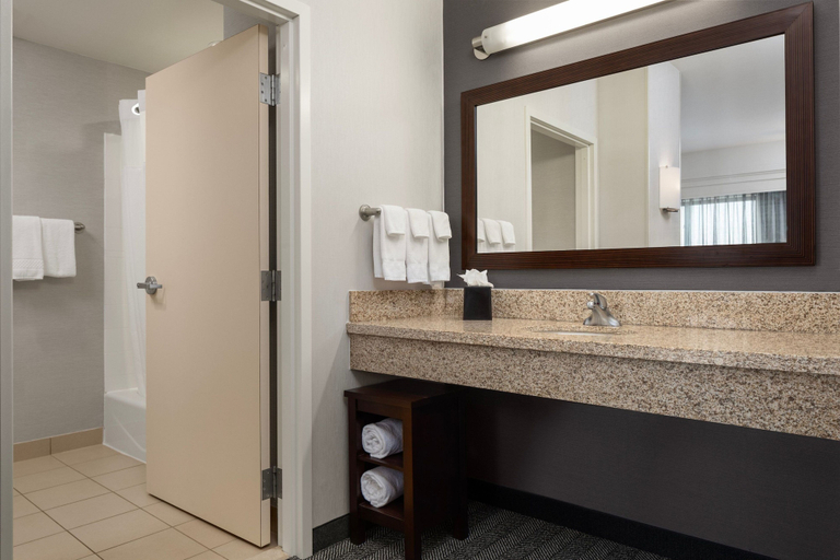 Bathroom 5, Courtyard Mankato Marriott, Blue Earth