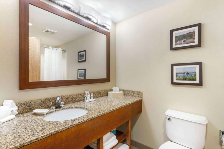 Bathroom 4, Comfort Inn & Suites Blytheville, Mississippi