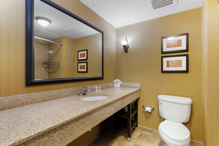 Bathroom 4, Comfort Suites Kodak Sevierville, Sevier
