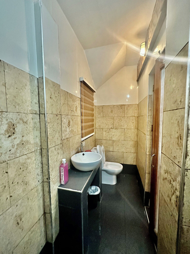 Bathroom 3, Birdwatchers Beachfront Hotel Panglao, Panglao